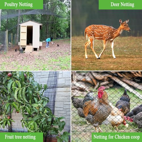 Bird Netting 50x50 Ft, 1 in Mesh Heavy Duty Garden Netting | Extra Strong Woven Mesh Netting Pest Barrier for Plants, Fruit Trees, Vegetables, Animal Fencing Against Birds, Deer, Poultry - size: 50×50 FT-1"
