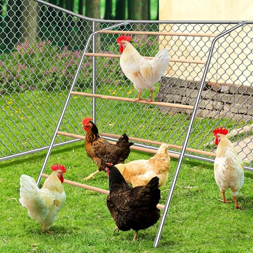 Large Chicken Roosting Bars with Swing (74.4"), Sturdy Metal Chicken Perch for Coop, Heavy Duty Jungle Gym Ladder for Hens, Entertainment Accessories & Toys for Backyard Poultry, Easy to Clean - size: 74.4in x 40.6in