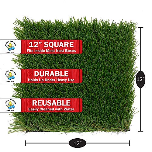 Laying Hen Nest Box Turf - Easy to Clean & Lasts for Years in Chicken Nesting Boxes (6 Pack)