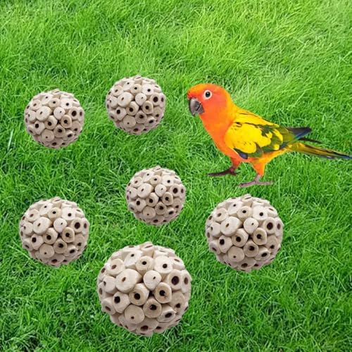 LWINGFLYER 6 Pieces Sola Atta Ball Parrot Biting Toy Bird Chew Accessories Natural Sola Plant Material for Birds, Rabbits, Hamsters and Small Pets.