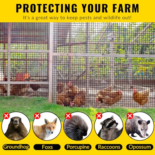 Hardware Cloth PVC Coated Wire Mesh 48'' x 50' 1/2inch Mesh Black Vinyl Coated Fence Chicken Wire Fencing 19 Gauge Chain Link Fence for Chicken Coop, Animal Control,Gutter Guard, and Home Improvement - color: Black, size: 48 x50 1/2inch