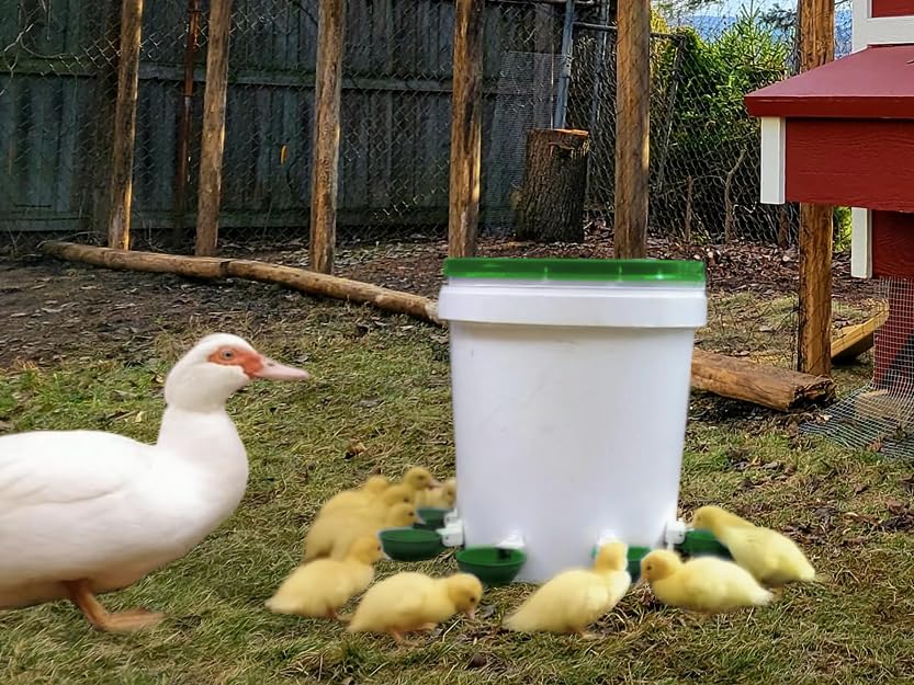 Farmight Automatic Poultry Waterer Kit – Leak-Free Large Self-Filling Cups with Drill Bit for Chickens, Ducks, Quail, Geese & Turkeys - 5 Pack