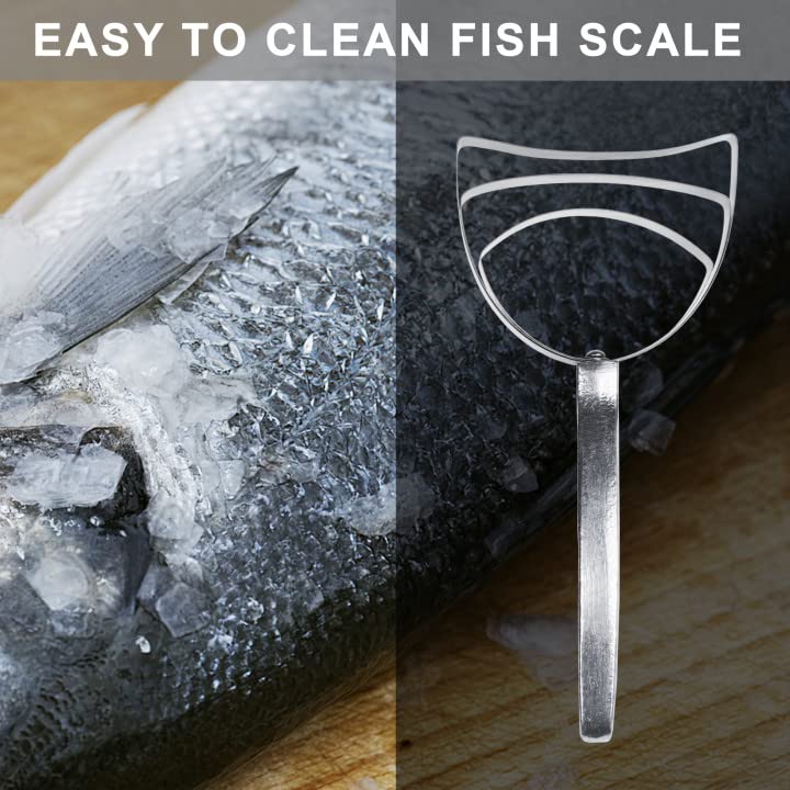 Stainless Steel Meat Bone Dust Scraper Tool for Kitchen | Stainless steel blade for meat prep, Ergonomic grip for comfort, Removes bone dust & residue, Great for cooks & butchers. - size: 1 Pack