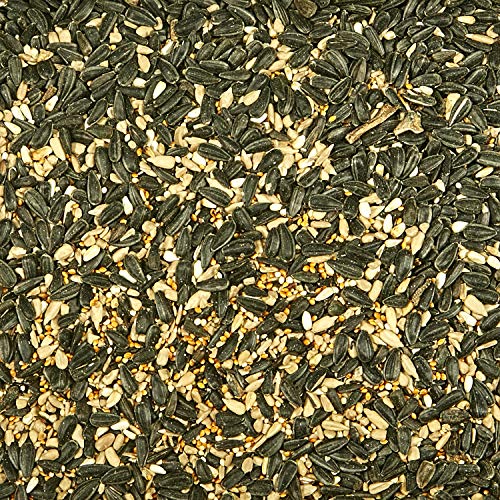 Kaytee Midwest Regional Wild Bird Food, 7 Pound - size: 7 Pound (Pack of 1), style: Midwest