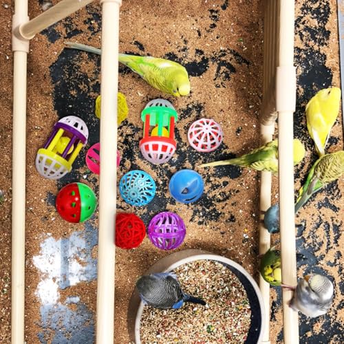 POPETPOP Bird Ball Toy - 12Pcs Plastic Pet Toy for Parakeet, Parrot, Finch Foraging & Preening - Colorful Training Bell Balls
