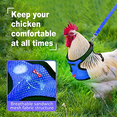 Chicken Harness (Medium, Blue) with Leash, Breathable, Adjustable, Comfortable for Chickens, Ducks, Geese, and Small Pets