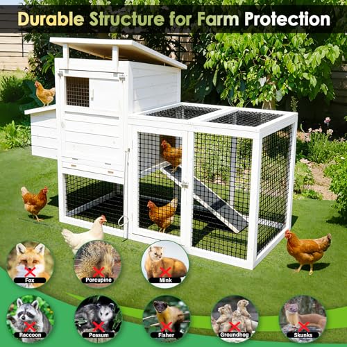 Gbekery Black Hardware Cloth 1/2inch,16in x 10ft 19 Gauge, PVC Coated Galvanized Steel Chicken Wire Fence Roll Garden Plant Welded Metal Wire Fencing Roll, Rabbit Cages Snake Fence,Black - color: Black, size: 1/2 inch 16in x 10ft