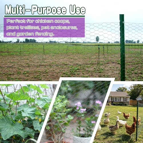 36in×150ft Chicken Wire Roll Hexagonal Netting Galvanized PVC Coated 1in Mesh Garden Poultry Fencing Barrier Animal Plants Hardware Cloth Crafts for/Rabbit/Floral/Chicken Coop/DIY Projects - size: 1in 36in×150ft