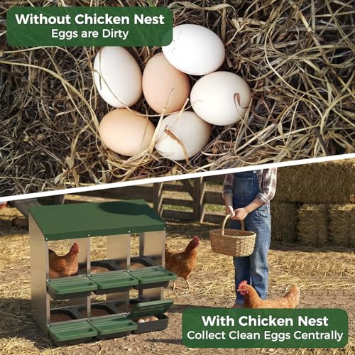 Garvee 6-Hole Chicken Nesting Box with Removable Lid, Metal Chicken Coop with Roll Away Design/Easy Egg Collection/Ventilation Holes, for Chicken Coops, Duck Coops and Hens (Green) - color: GREEN, size: 31.9"L x 20.5"W x 31.1"H
