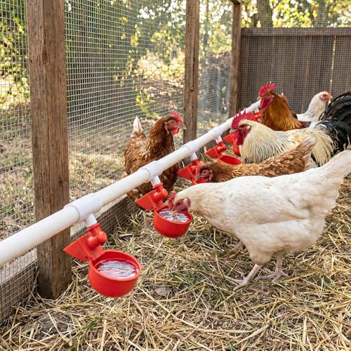 12 Pack Chicken Waterer Cups with Tee, Automatic Chicken Water Feeder Chicken Water Bowls Poultry Water Feeder Kit for Chicks, Duck, Goose, Turkey and Bunny（12 Tees + 12 Cups）