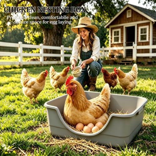 4Pcs Plastic Chicken Nesting Box for Laying Eggs, Floor Large Chicken Laying Boxes for Hens Ducks and Chickens, Hen Nesting Box for Chicken Coop, Backyard, Farm House, Easy to Clean