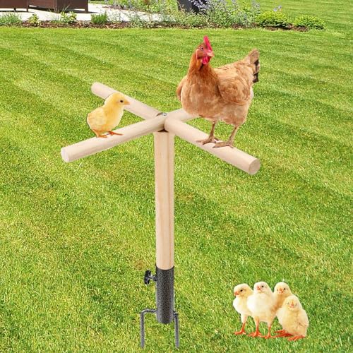 Chicken Perch Toys for Coop, Chick Perch Stand Wooden with Metal Ground Plug Chicken Roosting Bar Ladder Backyard Playground Suitable for Poultry Rooster Chicks Large Bird Parrot - size: 23*23 inches