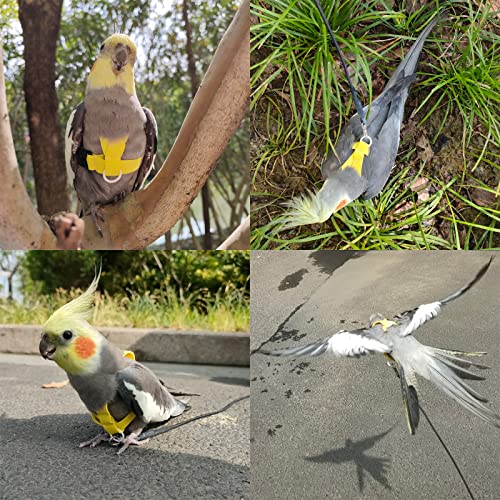 VANFAVORI Bird Harness with Buckle Clip, with 80-inch Leash,S Size, Yellow | Easy-to-wear Buckle Clip Design. For Birds Parrots Cockatiel (Weight 85-105 g). Kit Ideal for Outdoor Flying and Training