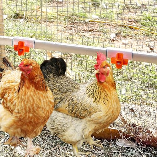 Horizontal Chicken Waterer Nipples with 1/2 PVC Tee Fittings DIY Automatic Chicken Watering System Kit (Orange, 6Pcs) - size: 6