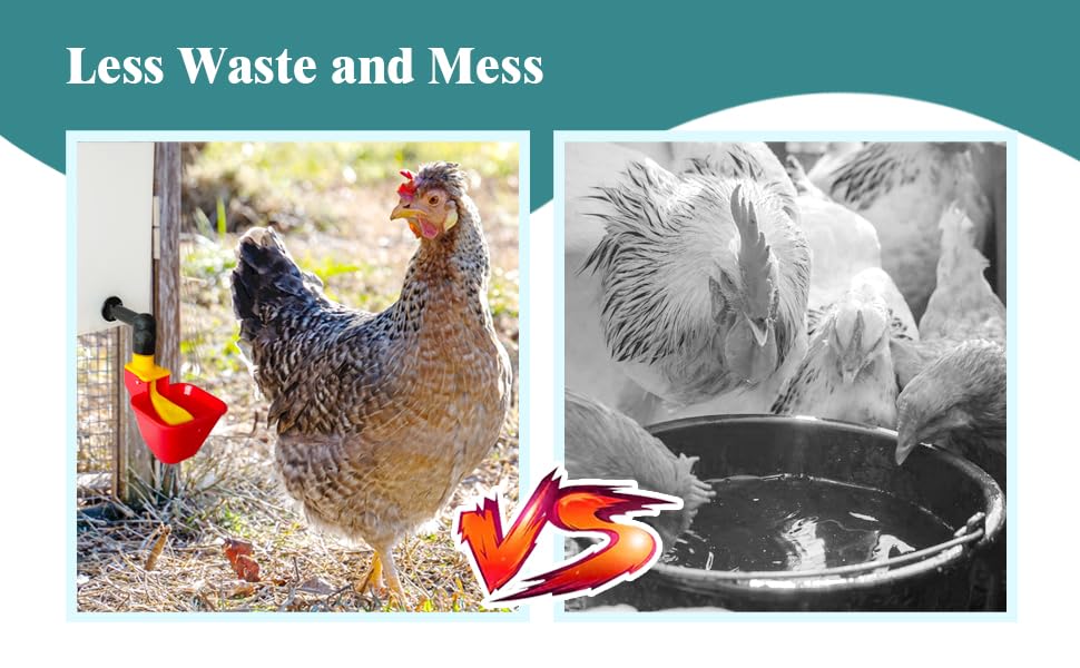 C Automatic Waterer System Chick Drinker Cups 1L Hanging Automatic Fill Poultry Watering Cup Used for Cages (red, 1)