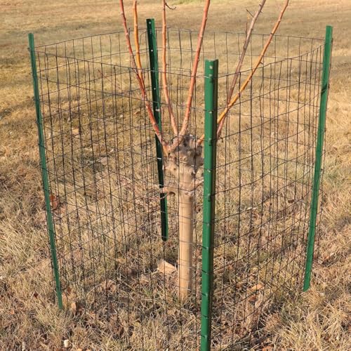 Black PVC Coated Welded Wire Fence 24" x 100' Roll, 2"x3" Mesh, 16 Gauge | Vinyl Coated Garden Fencing, Yard & Pet Barrier, Chicken Wire Fencing, Dog Enclosure Mesh, Vegetable Plant Protector - color: Black, size: 2''x3'' 16GA 24''x100'