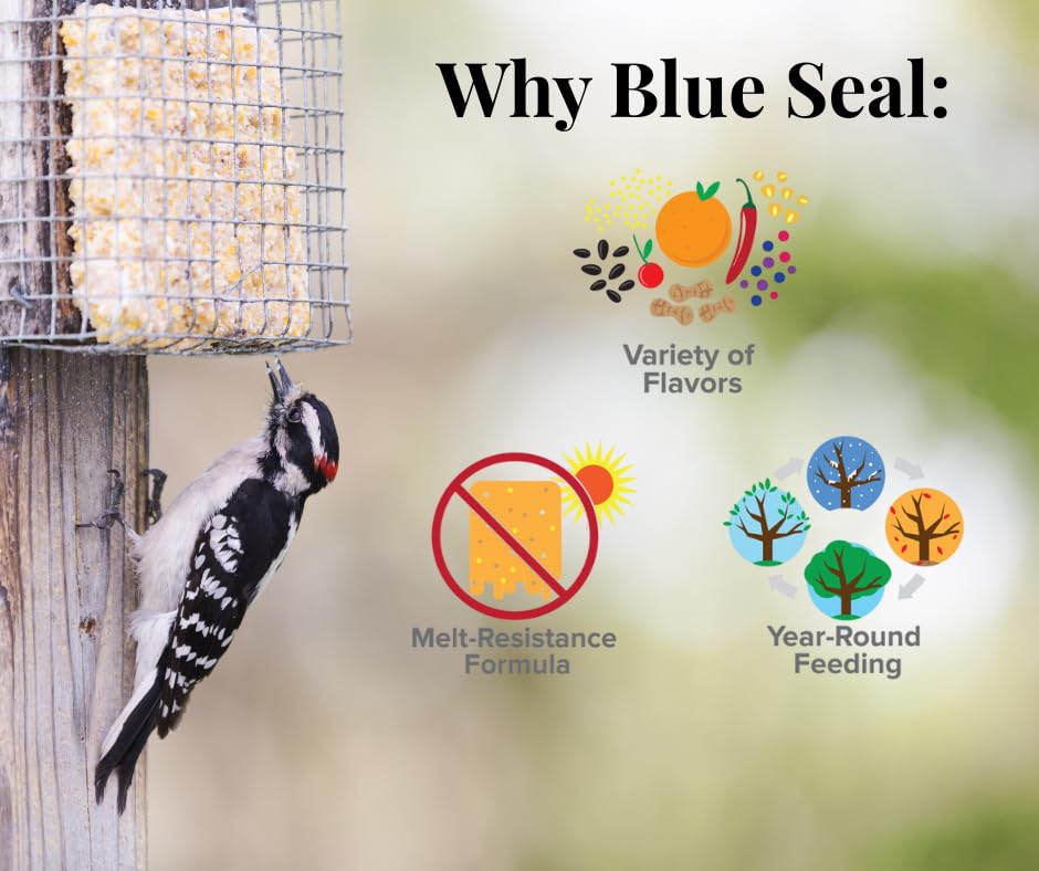 Blue Seal Hot Pepper Suet Cakes for Wild Birds | No Mess Suet Feed with Cracked Corn | Food for Woodpeckers, Cardinals, Siskins & Sparrows | Use with Suet Feeder | 11oz Seed Cake (12 Pack)