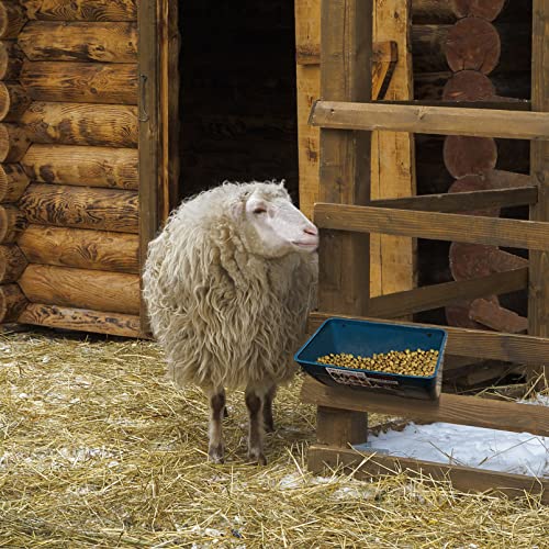Chicken Feeder Waterer, Goat Feeder - 3 Pack, 5.5 Quart, for Goats Chickens Duck Sheeple Dogs Piglets Deers Gooses, Turkeys, Goat Supplies
