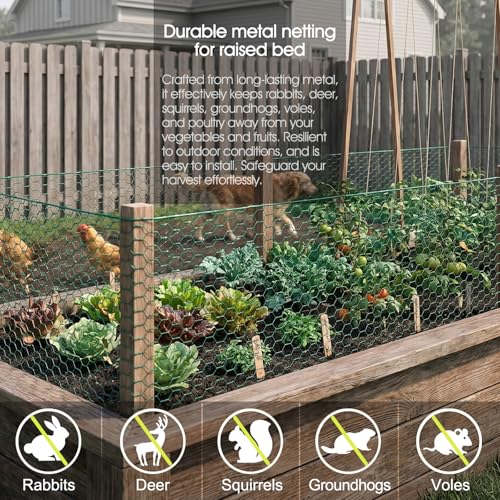 Chicken Wire for Floral Arrangements, Garden Wire Fencing 15.7 x 84 Inch | 24 Rifny Wire Roll 0.6 Inch Mesh, Hexagonal PVC Coated, Metal Poultry Wire Netting for Craft, Plants Rabbit Barrier, Green - size: 15.7" x 84"-0.6 Inch Mesh