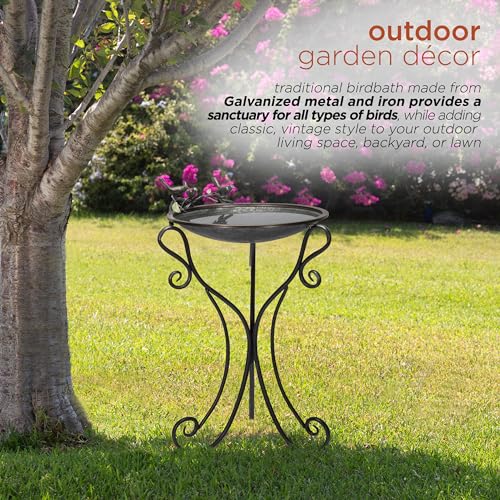 Alpine Corporation Vintage Metal Birdbath with Twigs and Bird Figurines - Iron Outdoor Decor for Garden, Patio, Deck, Porch - color: Silver