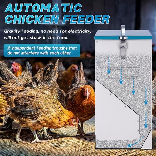 10L Chicken Grit and Oyster Shell Feeder Combo with Lid Hanging Duck Feeder Automatic Metal Gravity Chicken Feeder Poultry Coop Accessories for Goose Hens Eggs (Blue)
