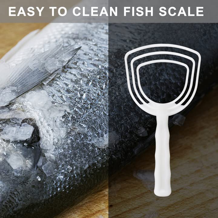 BOLEXION White Poly Bone Dust Scraper, Meat & Fish Scraper, 2 Pack | Removes bone & meat,Sturdy White Poly,Square head for even scrape,Ergonomic, non-slip,For home & catering.