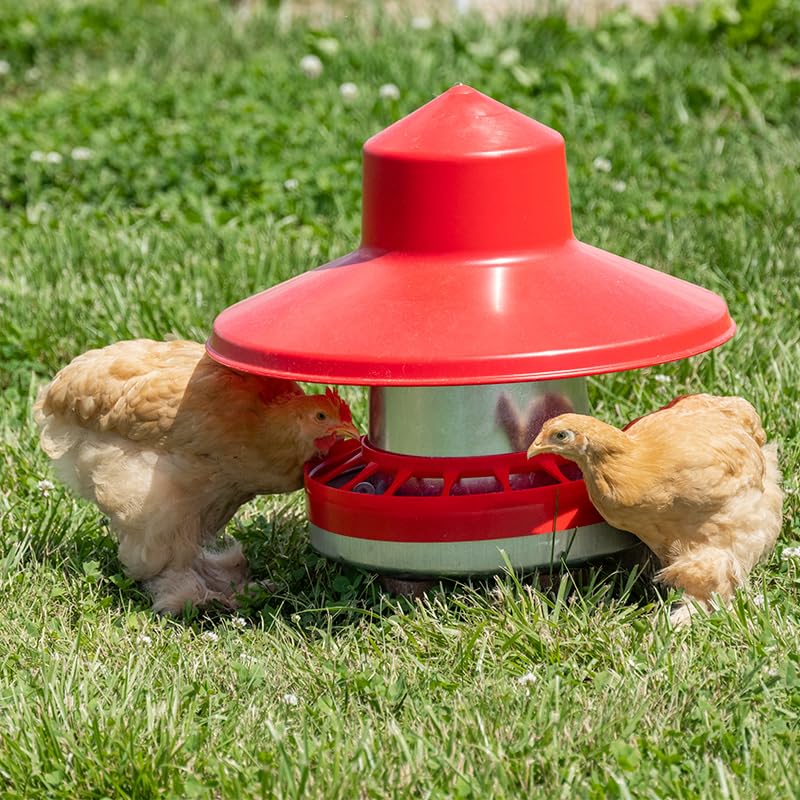 Premier 1 Galvanized Cone Poultry Feeder – 22 lb Capacity, Feeder Only | Heavy-duty galvanized metal. Free standing or hanging. Built-in handle. For broilers to layers & waterfowl. - style: Feeder Only