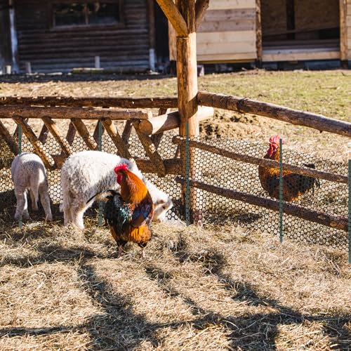 Marsui Animal Barrier Fence 12in x 66ft No Dig Garden Fence Mesh Fencing with Steel Stake Movable Portable Temporary for Poultry Dogs Rabbits Chicken Snake Barrier Garden Backyard Outdoor - size: 12in x 66ft