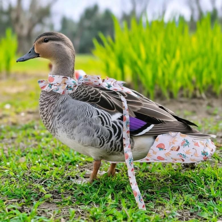 Chicken Diapers for Hens, Roosters, Diapers for Ducks with Walking Leash, Reusable Pet Duck Diapers Chick Clothes Waterproof Poultry Nappies for Geese Pet Ducks Chicken-Mushroom, S - size: S