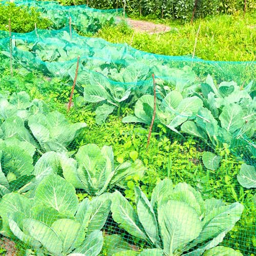 13Ft x 33Ft Anti Bird Netting Protection Mesh Garden Netting Seedlings Plants Flowers Fruit Trees Vegetables from Rodents Deer Reusable Fencing, Green - color: Green