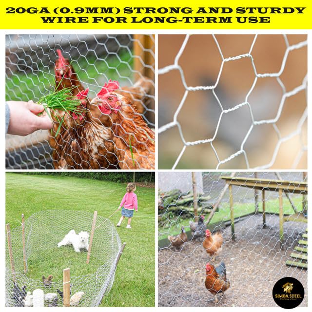 Chicken Wire 12 in x 150 FT x 2” Mesh x 20GA | Poultry Wire Netting | Hot Dipped Galvanised | Hexagonal Galvanized Mesh for Chicken Coop, Rabbit Cage, Fence Barrier PM12x150x2 - style: 12 in x 150 FT x 2 in