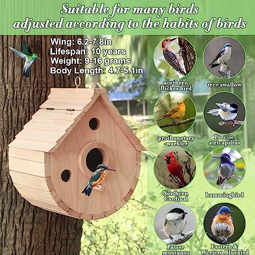 Wooden Bird House for Outside，3Holes Bird House for Bluebird Cardinals Wren Swallow, Hangding Birdhouse in Garder/Balcony/Courtyard (Wood Color) - color: Wood