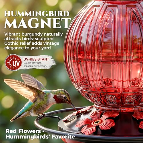 2 Pack Glass Hummingbird Feeder for Outdoors Hanging, Bird Nectar Feeder with Perch & 5 Flower Feeding Ports, 26 Oz Leak Proof for Outside Garden Decor Backyard, Gifts for Women Mom, Red + Purple - color: Red + Purple