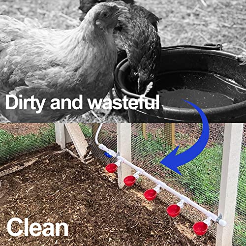 Chicken Waterer 12 Pack,Automatic Chicken Water Cup and 1/2" PVC Tee Fittings,Large Auto-Fill Chicken Waterer Cups,DIY Chicken Water Feeder, Coop Water Dispenser,Poultry Waterer Feeder Kit
