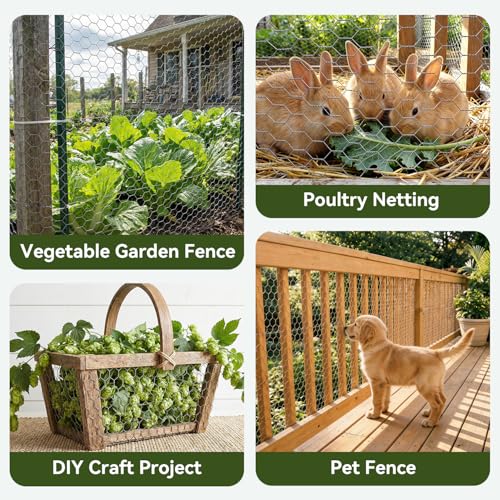 Amagabeli Chicken Wire Fencing 16in x 50ft Garden Netting Poultry Wire Hexagonal Galvanized Mesh Roll Fence Barrier for Raised Bed Cattle Panels for Plant Trellis Vegetable Dog Bird Pet Cage Craft - size: 1" 16"x50'