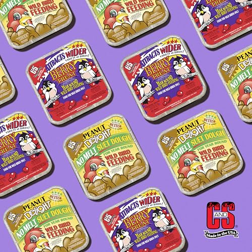 C&S Suet Variety Value Pack, Peanut Delight Dough & Berry Treat, Wild Bird Food, Year Round Source of Energy for Birds, 24 Pack