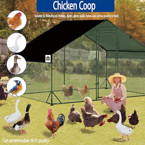 Chicken Runs for Yard with Cover, Metal Chicken Coop, Upgraded Anti-UV 180g/㎡ PE Cloth & 1.1mm Thickened PVC-Coated Hexagonal Chicken Wire Mesh & More Galvanized Steel Standpipes, 6.6×9.8×6.4FT - size: 78.0"L x 118.0"W x 77.0"H