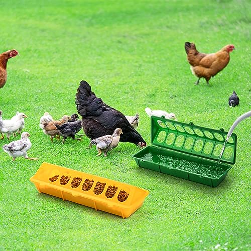 Coloch 6 Pack Flip Top Poultry Feeder, Plastic Chicken Feeder Trough Multi-Hole Poultry Feeding Tray No Mess No Waste Chick Feeding Dispenser for Pigeon, Quails, Duckling Birds, Duck, Chicken