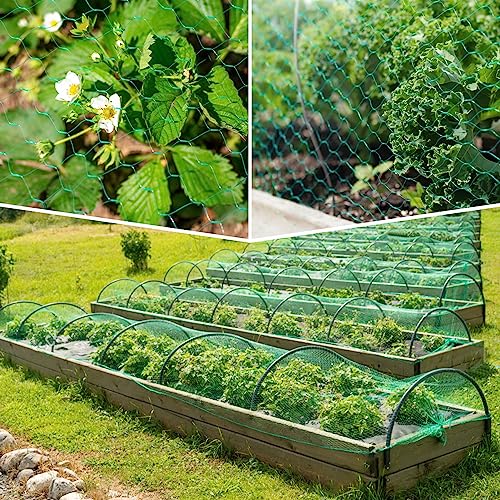 Sukh Bird Netting for Garden 13x33ft - Mesh Net for Garden Protection | Plastic Netting Cover for Trellis, Fence & Pond, Deer & Squirrel Proof for Fruit Tree Plant, Poultry Chicken Coop Cover