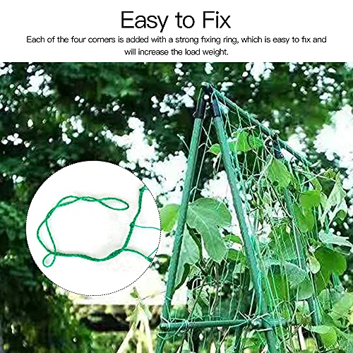 Trellis Netting, PDGROW Climbing Plant Support Net Garden Pea Bean Neting, Heavy-Duty PE Trellis Net for Cucumber, Tomato, Vegetables, Fruits, Sweet Pea Plants (6.6' x 16.4'Ft) - size: 6.6' x 16.4'