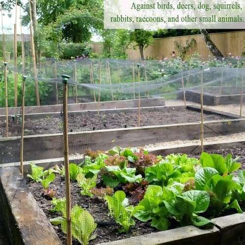 10x10 FT Bird Netting, 1/2" Mesh, Heavy Duty Garden Netting | Strong Woven Netting for Garden Protection, Plants, Fruit Trees, Blueberry Bushes, Vegetables, Chicken Coops & Porches - size: 10x10FT-1/2inch