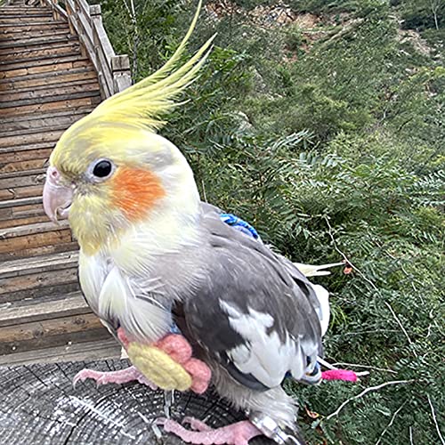 WAYUTO Pet Bird Diapers Cute Sun Flower Parrot Flight Suit with Elastic Strap Harness Equippable Washable Liners Cockatiel Clothes Nappy Light Weight Warm for Small Birds Cosplay Photo Prop - color: Waves