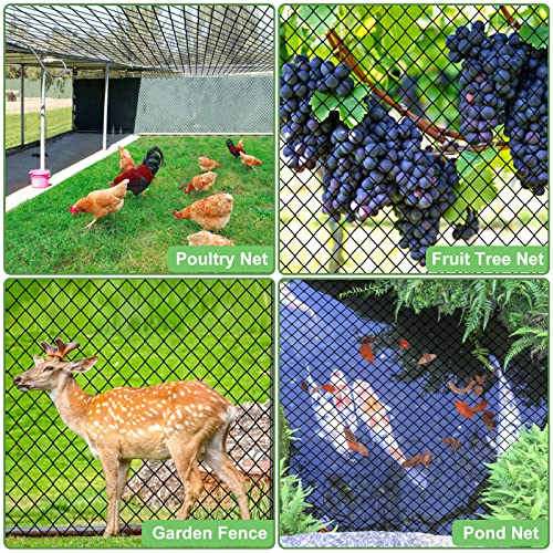 Bird Netting 25'x50'with 3/4" Square Mesh, Heavy Duty Nylon Garden Netting | Poultry Netting for Chicken Coop, Fruit Tree Netting for Orchard Against Squirrels, Deer, Hawk, Aviary Net - size: 3/4", 25' x 50'