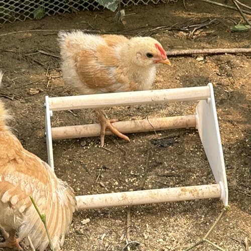 YANZI Chick Feeder and Waterer Kit, Baby Chick Starter Kit with Chick Perch for Small Poultry Ducks Quail