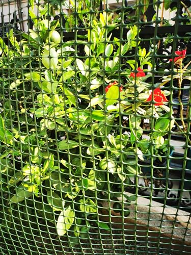 Green Plastic Garden Fence, Hardware Mesh, 40'' x 25' | Reusable HDPE Fence for Landscape, Tree Guards, Balcony, Deck & Stair Railings, Poultry, Animal & Pet Barrier, Cut to Size - color: Green, size: 40'' x 25'