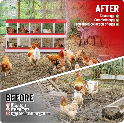 TrailBlaze Chicken Nesting Box 10 Compartments Laying Boxes, Metal Chicken Egg Laying Box with Rollout Egg Collection, Large Vented Holes Chicken Coop for Chickens, Hens (Red) - color: red, size: 10 holes