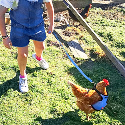 Chicken Harness (Medium, Blue) with Leash, Breathable, Adjustable, Comfortable for Chickens, Ducks, Geese, and Small Pets