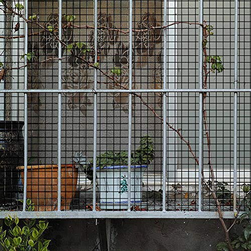 48'' x 50' 1/2inch Hardware Cloth 19 Gauge Black Vinyl Coated Welded Fence Mesh for Home and Garden Fence and Home Improvement Project - size: 48'' x 50'-19 Gauge