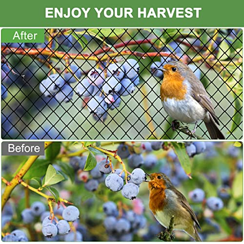 Bird Netting 25'x50'with 3/4" Square Mesh, Heavy Duty Nylon Garden Netting | Poultry Netting for Chicken Coop, Fruit Tree Netting for Orchard Against Squirrels, Deer, Hawk, Aviary Net - size: 3/4", 25' x 50'