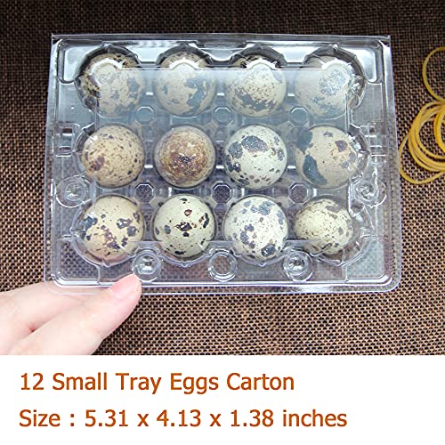 Quail Egg Cartons 100 Pack,Plastic Quail Egg Holder 12 Tray of Small Quail Eggs Storage Holders,Cheap Bulk Quail Egg Container for Refrigerator